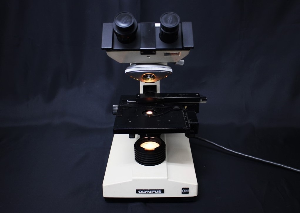 CHBSBiological microscope