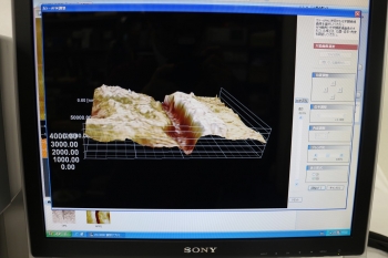 VN-8010Nanoscale Hybrid Microscope